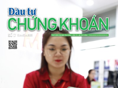 Báo Đầu tư Chứng khoán số 17