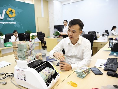 BIDV là ngân hàng có tổng tài sản lớn nhất Việt Nam, nhưng vẫn rất nhỏ bé so với các định chế tài chính quốc tế.