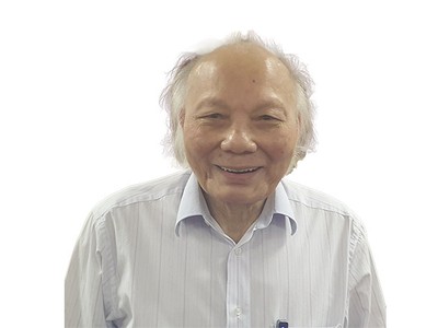 GS-TSKH. Nguyễn Mại, Chủ tịch Hiệp hội Doanh nghiệp đầu tư nước ngoài (VAFIE)
