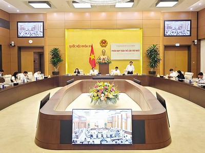 Phiên thẩm tra của Ủy ban Kinh tế và Tài chính của Quốc hội