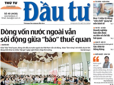 Báo Đầu tư số 49