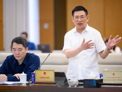 Phó thủ tướng Hồ Đức Phớc phát biểu tại phiên họp.
