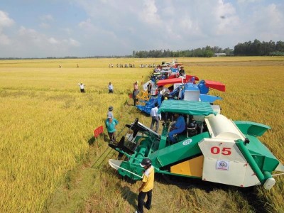 Nông nghiệp đóng góp gần 15% GDP quốc gia, là ngành kinh tế nền tảng đảm bảo an sinh xã hội, nhưng cũng là lĩnh vực chịu nhiều rủi ro.