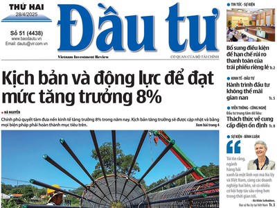 Báo Đầu tư số 51