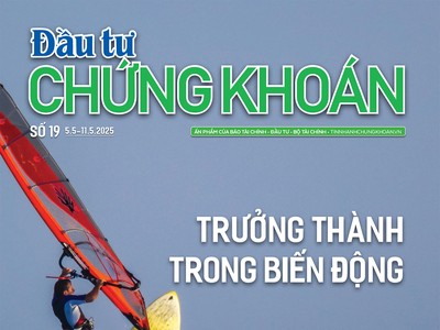 Báo Đầu tư Chứng khoán số 19