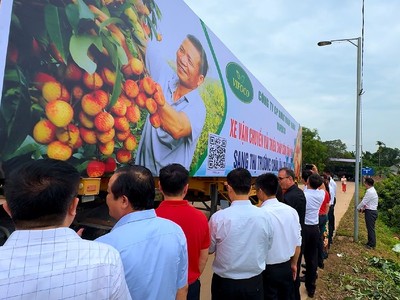 Vải thiều sớm Tân Yên xuất khẩu sang Thái Lan và thị trường Châu Âu.