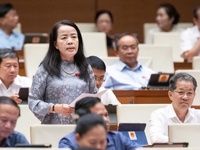Đại biểu Nguyễn Thị Kim Thúy tham gia thảo luận.