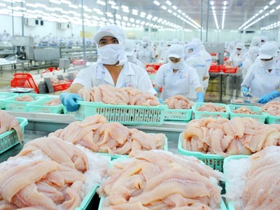 Công ty cổ phần Xuất nhập khẩu Thủy sản Cần Thơ thông báo chào bán cổ phiếu ra công chúng (kỳ 3)