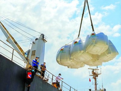 Giá gạo xuất khẩu trung bình 4 tháng đầu năm 2025 giảm 19,8% so với cùng kỳ năm 2024