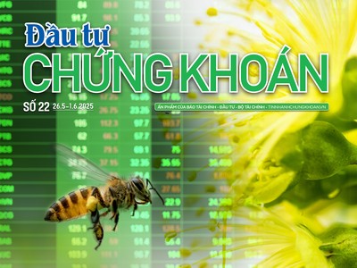 Báo Đầu tư Chứng khoán số 22