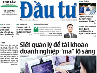 Báo Đầu tư số 65