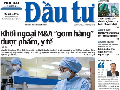 Báo Đầu tư số 66