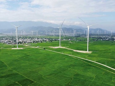 Ninh Thuận được quy hoạch phát triển 45 dự án năng lượng. Trong ảnh: Nhà máy Điện gió Hanbaram