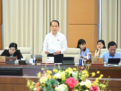 Chủ nhiệm Uỷ ban Pháp luật và Tư pháp Hoàng Thanh Tùng.
