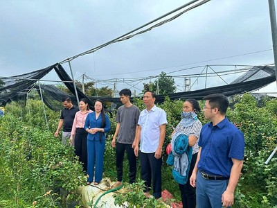 Hà Nội đạt chuẩn nông thôn mới toàn diện sau gần 15 năm triển khai Chương trình mục tiêu quốc gia