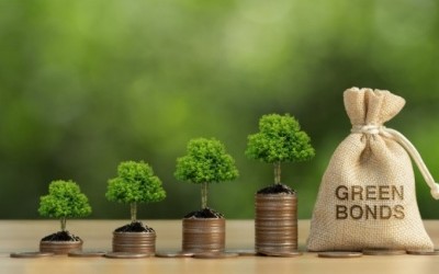Phát hành trái phiếu xanh: Chi phí có là rào cản?