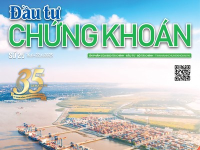 Báo Đầu tư Chứng khoán số 25
