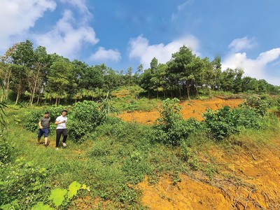 Trong giới đầu tư, tâm lý “sợ bỏ lỡ” luôn hiện hữu, vì vậy nhiều người dễ bị dẫn dụ bởi hình ảnh nườm nượp đi săn đất