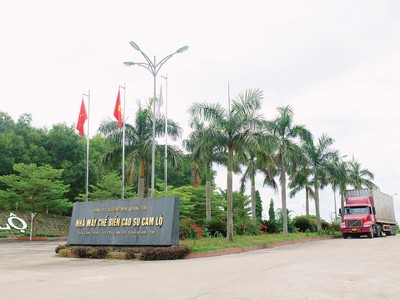 Nhà máy chế biến mủ cao su Cam Lộ, một trong những dự án đầu tư lớn của Công ty Sepon Quảng Trị