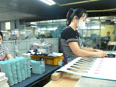 Doanh nghiệp có tổng doanh thu năm không quá 3 tỷ đồng được áp thuế thu nhập doanh nghiệp 15%, tổng doanh thu năm từ trên 3 tỷ đồng đến 50 tỷ đồng là 17%. Ảnh: Tiên Giang