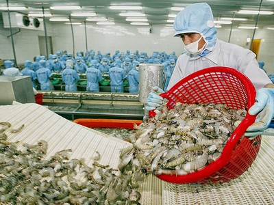 Tổng kim ngạch xuất khẩu thủy sản 5 tháng đầu năm đạt trên 4,34 tỷ USD, tăng 22% so với cùng kỳ 2024.