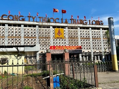 Chung cư gần khu Cao Xà Lá ngót nghét 100 triệu đồng/m2
