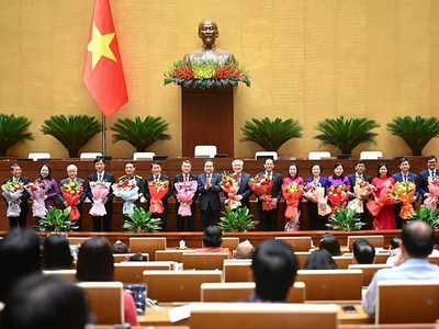 Hội đồng Bầu cử Quốc gia gồm có 19 thành viên.