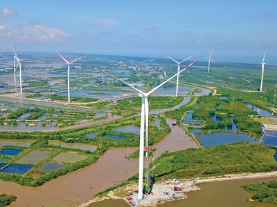 Toàn cảnh Dự án điện gió Sunpro tại Bình Đại (Bến Tre).