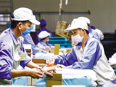 Các doanh nghiệp đang chờ hướng dẫn cụ thể để tiếp cận nguồn vốn ưu đãi