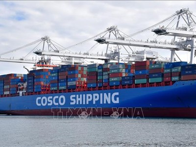 Tàu chở hàng hóa Trung Quốc neo tại cảng Long Beach ở Los Angeles, Mỹ. Ảnh: THX/TTXVN