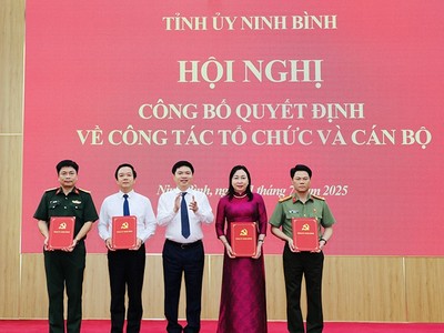 Ninh Bình: Kiện toàn tổ chức, bổ nhiệm cán bộ sau sáp nhập