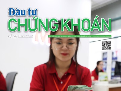 Báo Đầu tư Chứng khoán số 29
