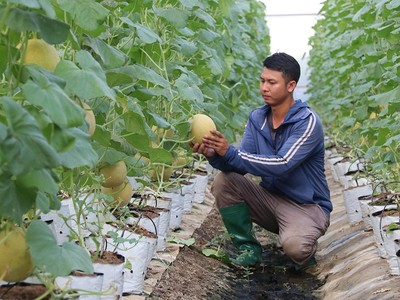 Ngành nông nghiệp vẫn duy trì đà tăng trưởng tích cực
