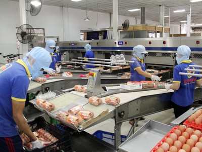 Doanh nghiệp lương thực thực phẩm TP.HCM đang gặp cảnh "tiến thoái lưỡng nan" trong in ấn bao bì sản phẩm