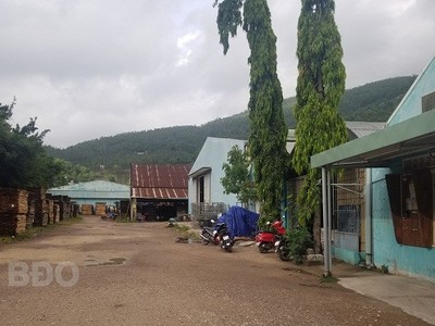 Khu đất thực hiện Dự án Nhà ở xã hội Bông Hồng hiện là Xí nghiệp Chế biến lâm sản Bông Hồng (thuộc Công ty cổ phần Lâm nghiệp 19). Nguồn: BĐO.