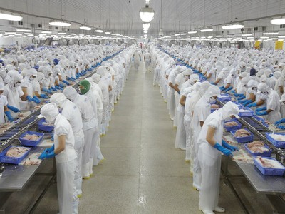 Mỹ là thị trường lớn nhất của Vĩnh Hoàn, đóng góp khoảng 43,8% tổng doanh thu xuất khẩu