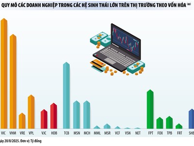 Những hệ sinh thái hàng đầu trên sàn chứng khoán Việt Nam