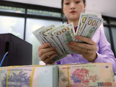 Nếu Fed chưa giảm lãi suất, tỷ giá USD/VND chưa hết áp lực