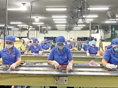 Khánh Hòa rà soát danh mục lĩnh vực cho vay, đầu tư từ Quỹ Đầu tư phát triển