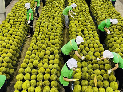 Lưu ý doanh nghiệp giữ đà xuất khẩu sang thị trường trọng điểm