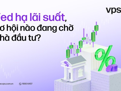Fed hạ lãi suất, cơ hội nào đang chờ nhà đầu tư?