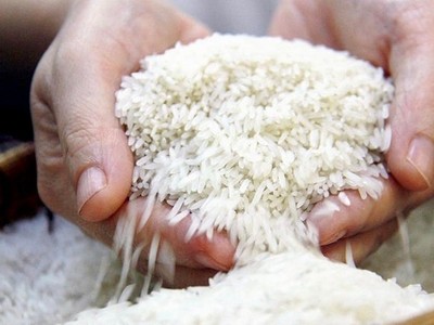 Gạo Việt ổn định trước biến động, “dân cứ có gạo là doanh nghiệp mua”