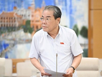 Chủ nhiệm Uỷ ban Dân nguyện và giám sát Dương Thanh Bình trình bày báo cáo.