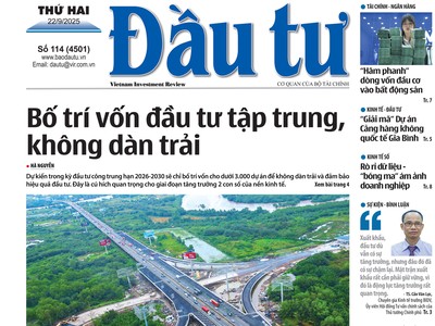 Báo Đầu tư số 114
