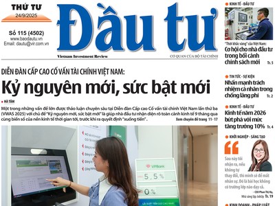 Báo Đầu tư số 115
