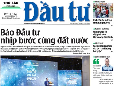 Báo Đầu tư số 116