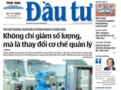 Báo Đầu tư số 117