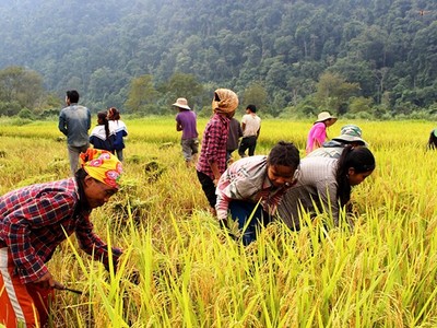 Nhiều kết quả nổi bật từ chương trình giảm nghèo bền vững