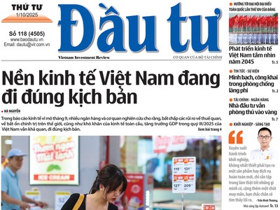 Báo Đầu tư số 118
