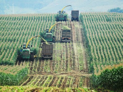 Nghệ An có nhiều điểm sáng trong nhiệm kỳ 2020 - 2025